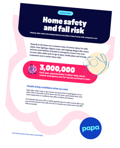 hp-preview - home safety solution brief